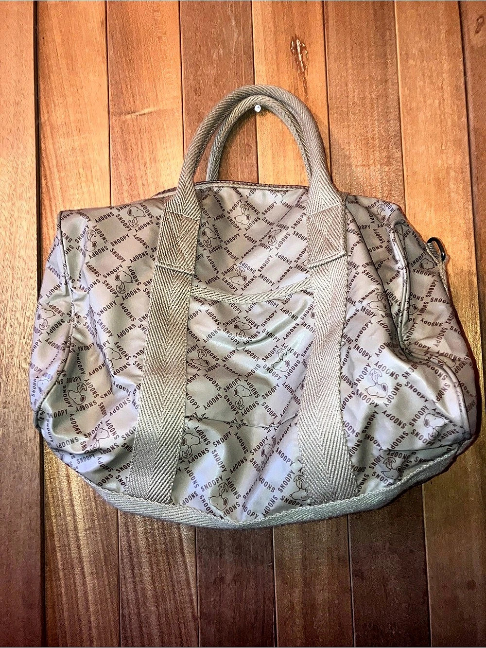 Snoopy Print Travel Bag in Cream & Brown